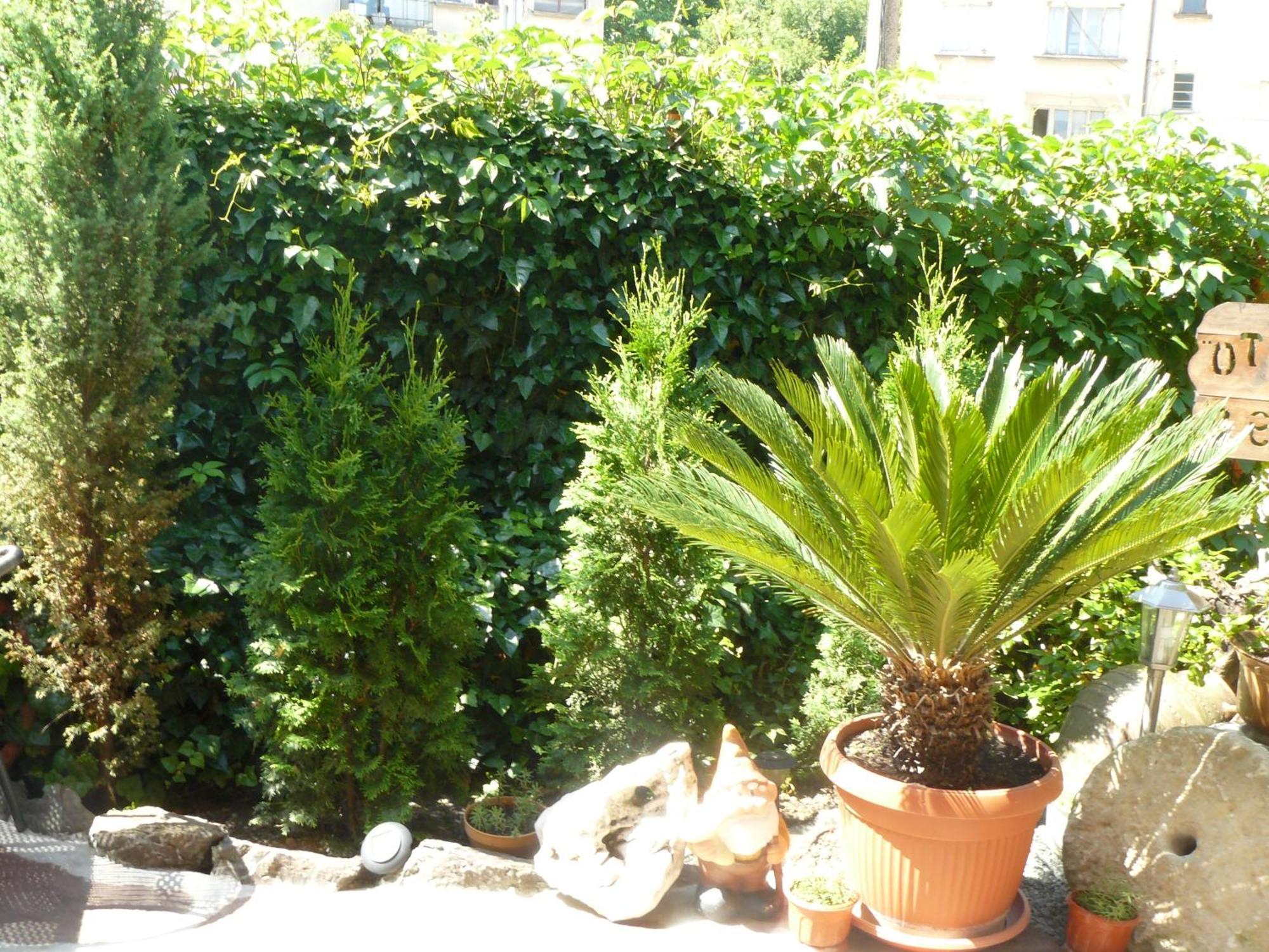 Guesthouse Geto Belogradchik Ngoại thất bức ảnh